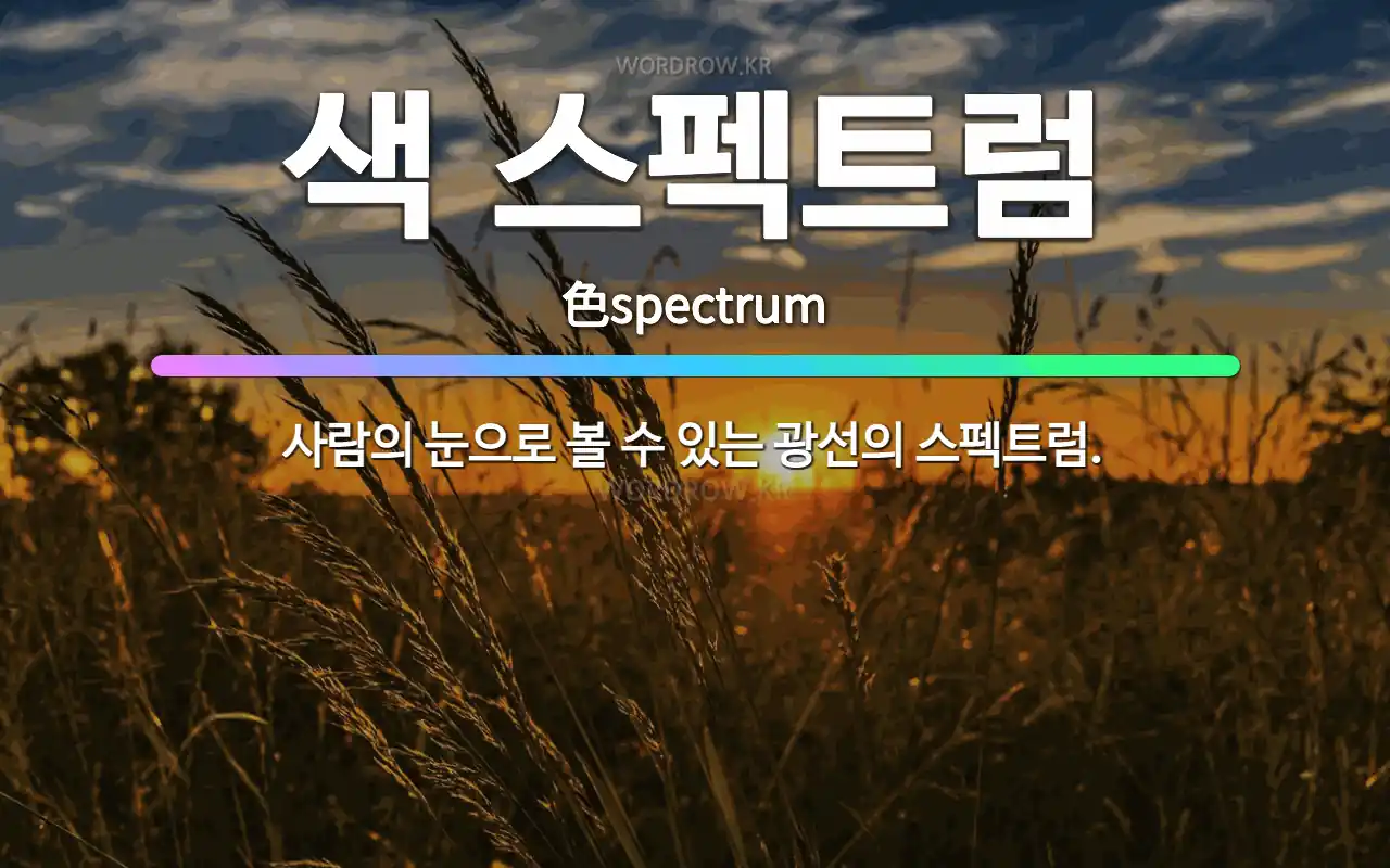 🌟색 스펙트럼: 사람의 눈으로 볼 수 있는 광선의 스펙트럼. - 표준국어대사전