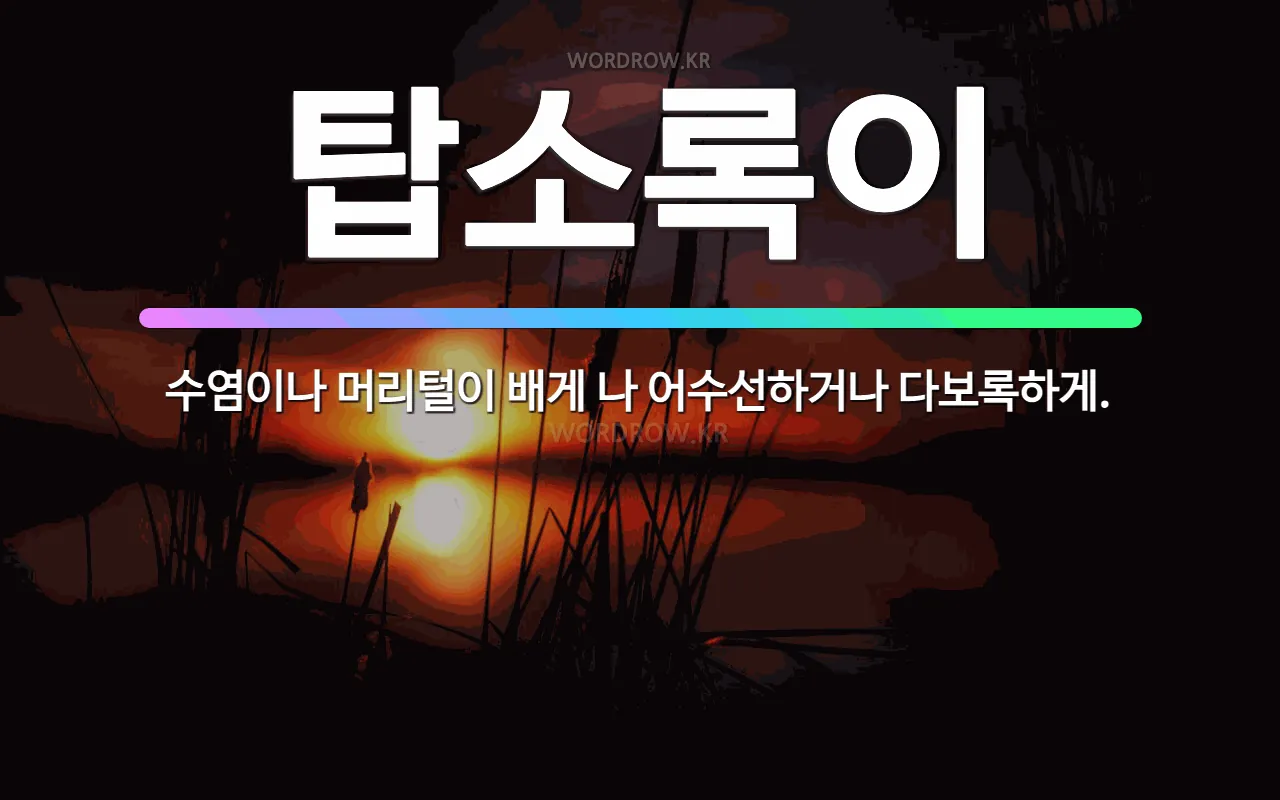 🌟탑소록이: 수염이나 머리털이 배게 나 어수선하거나 다보록하게. - 표준국어대사전