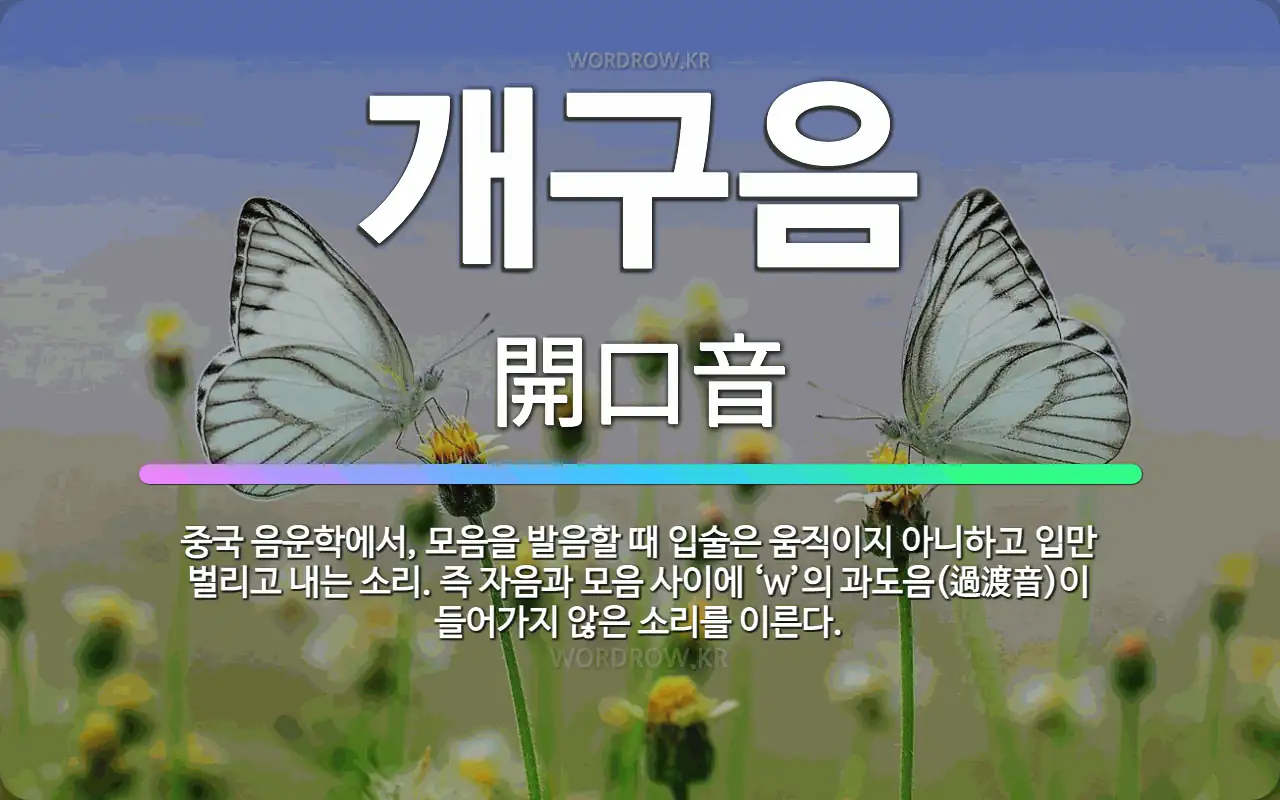🌟개구음: 중국 음운학에서, 모음을 발음할 때 입술은 움직이지 아니하고 입만 벌리고 내는 소리. 즉 자음과... - 표준국어대사전