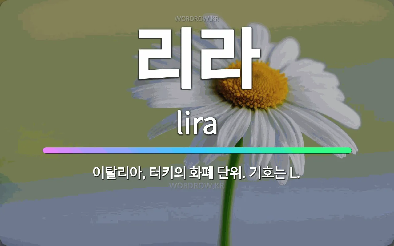 🌟리라: 이탈리아, 터키의 화폐 단위. 기호는 L. - 표준국어대사전