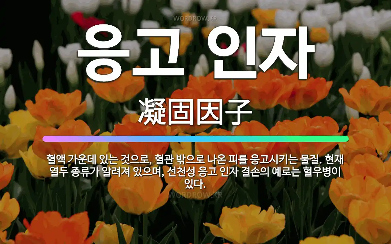 🌟응고 인자: 혈액 가운데 있는 것으로, 혈관 밖으로 나온 피를 응고시키는 물질. 현재 열두 종류가 알려져... - 표준국어대사전