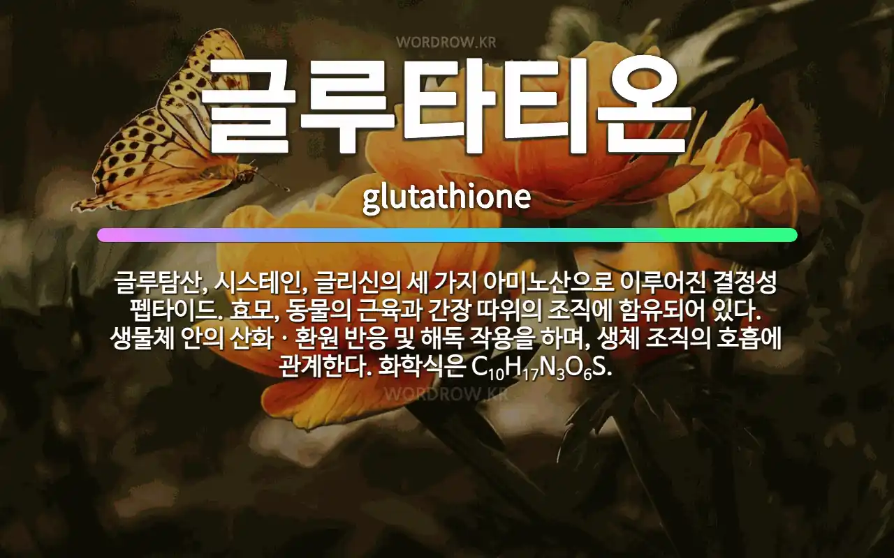 🌟글루타티온: 글루탐산, 시스테인, 글리신의 세 가지 아미노산으로 이루어진 결정성 펩타이드. 효모, 동물의