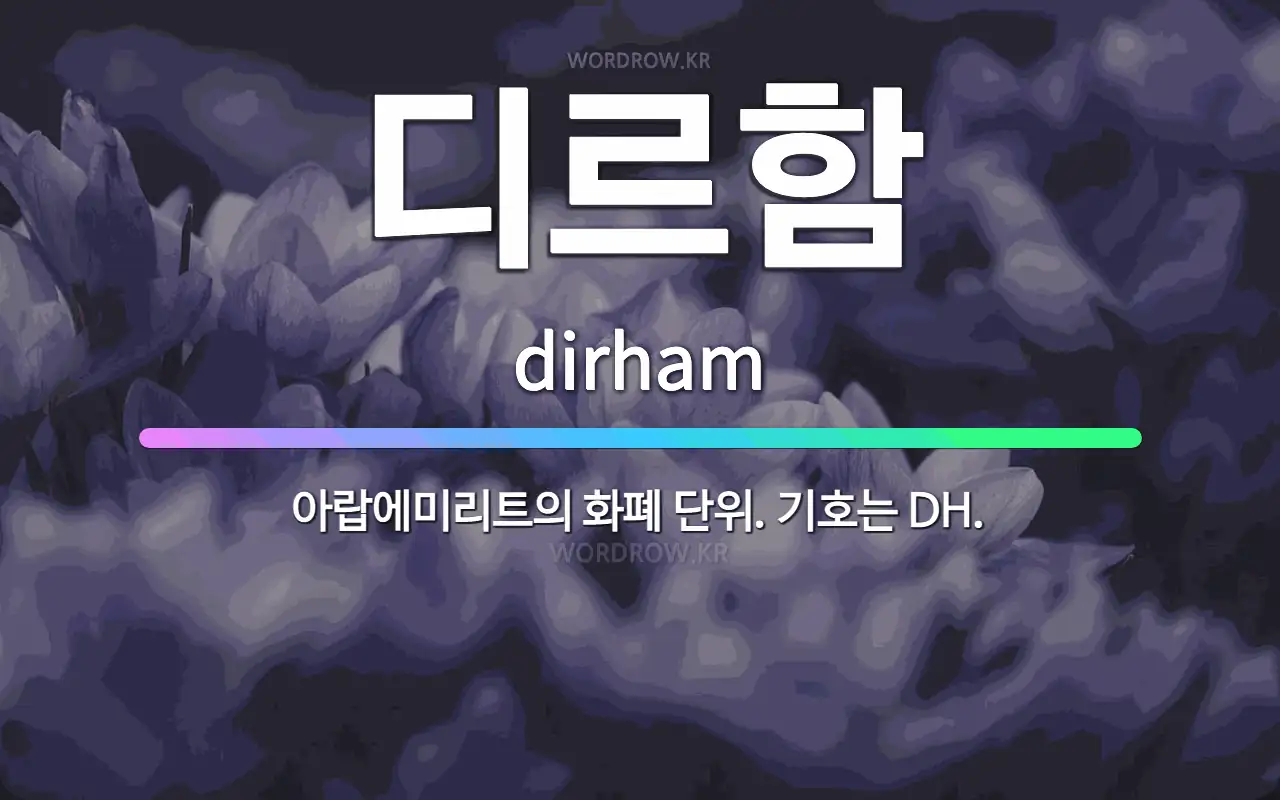 🌟디르함: 아랍에미리트의 화폐 단위. 기호는 DH. - 표준국어대사전